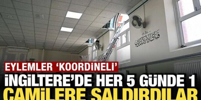 Haber gorseli