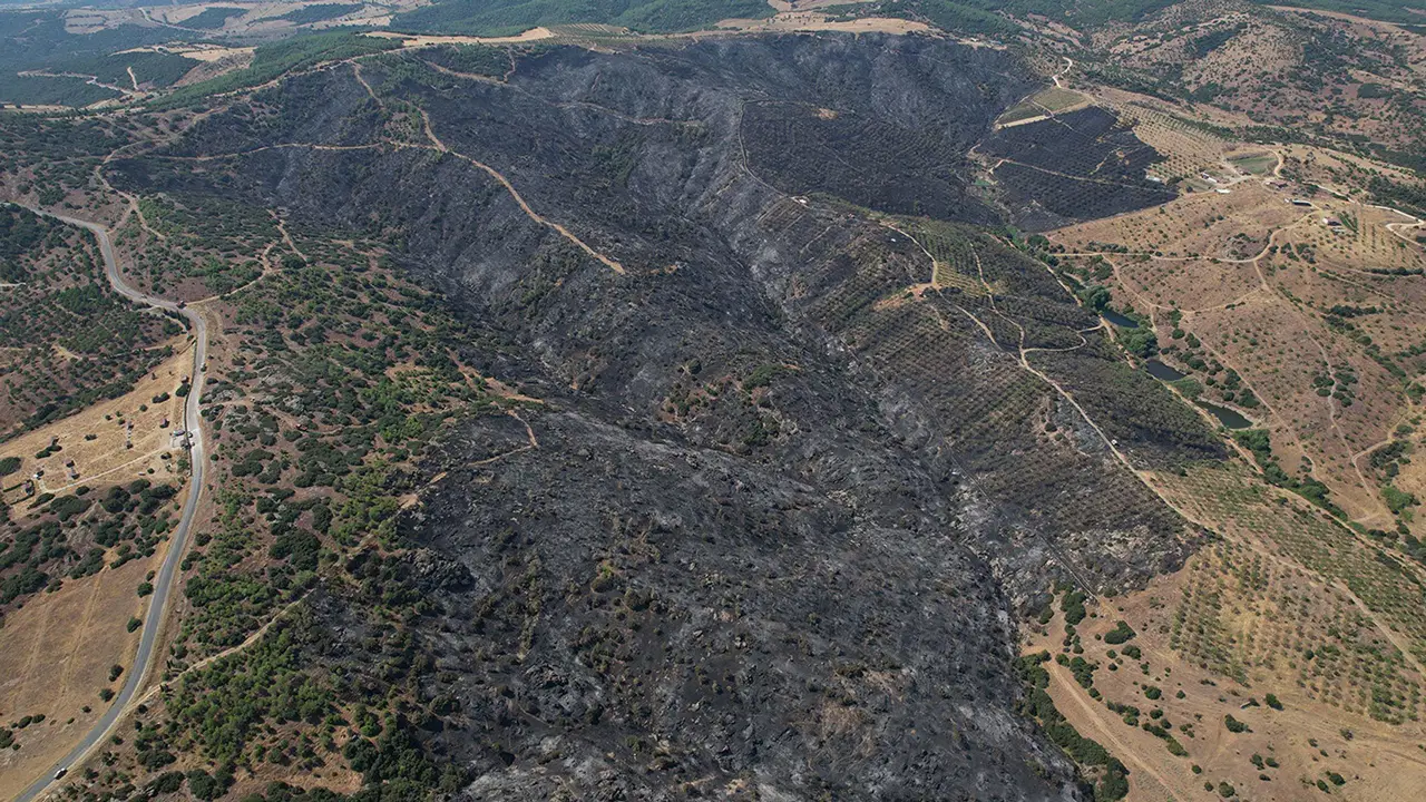 Manisa’daki orman yangınında yanan alanlar dronla görüntülendi