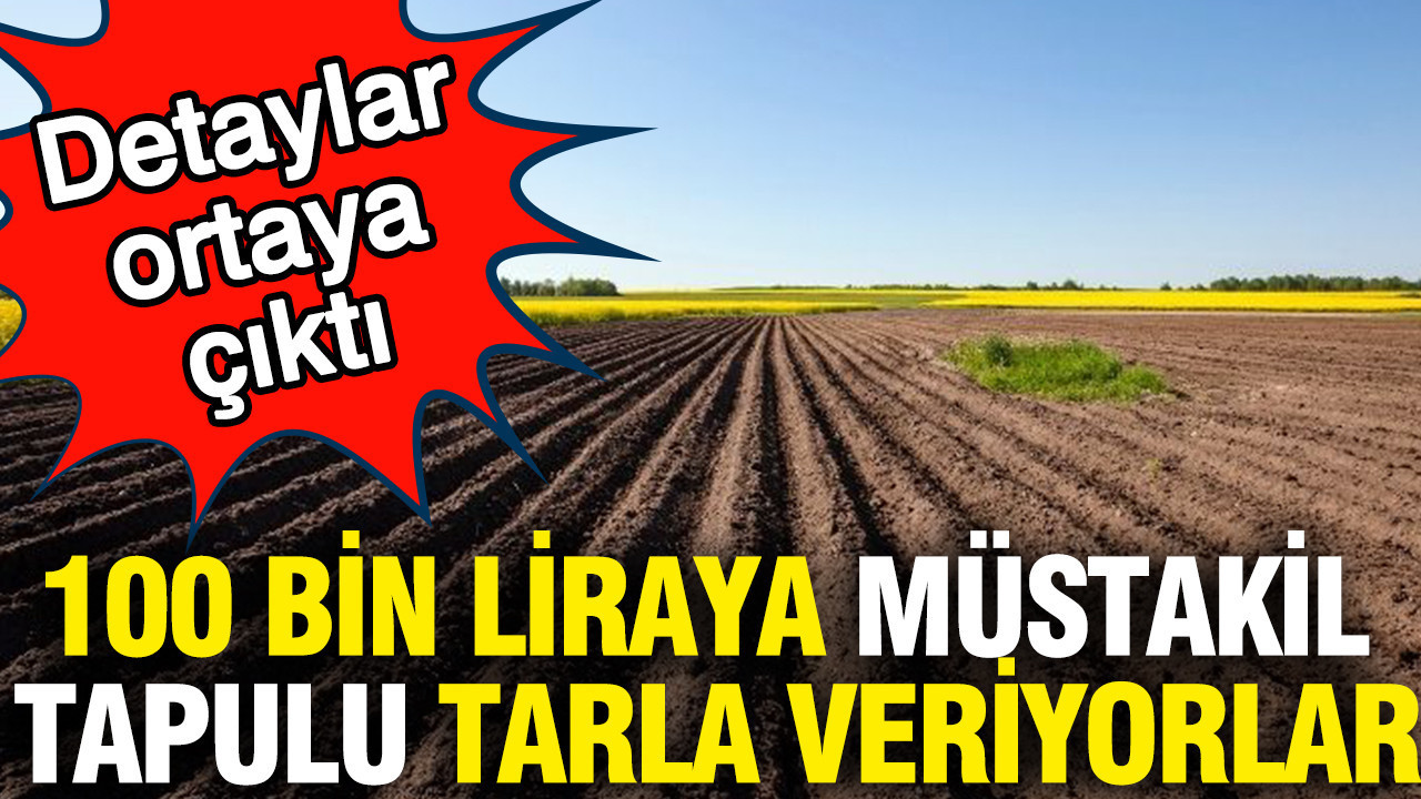 100 bin liraya müstakil tapulu tarla veriyorlar: Detaylar ortaya çıktı